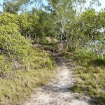 Section of track on the Galgabba Point walk