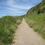 Uphill track near Spoons Rocks 