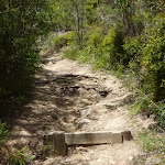 Steps and track on the coastal walk in the Wallarah Pennisula