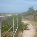 Metal railing on the coastal walk in the Wallarah Pennisula