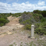 Rocky track with timber track marker in the Wallarah Pennisula 