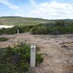 Track and timber track markers in the Wallarah Pennisula