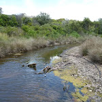 Pinney's creek in the Wallarah Pennisula