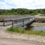 Timber bridge over Pinney's Creek in the Wallarah Pennisula