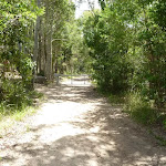 Trail near Pinney's Creek and Pinney's Beach