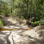 Creek crossing on a trail on the coastal walk in the Wallarah Pennisula
