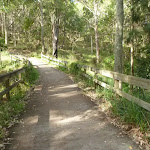 Eucalypt forest, Green Point Reserve