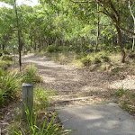 Track and timber sign in Green Point Reserve on Lake Macquarie