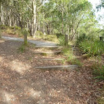 Stepped track in Green Point Reserve