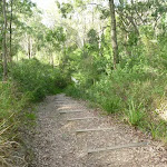 Well maintained tracks in Green Point Foreshore Reserve