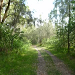 Track in Green Point Reserve
