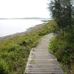 Timber boardwalk in Green Point Reserve by Lake Macquarie