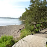 Foreshore Track, Green Point Reserve