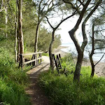 Timber bridge by Lake Macquarie in Green Point Reserve