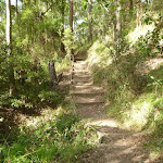 Timber steps and track near Rocky-high viewpoint by Lake Macquarie