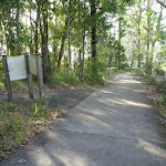 Shared cycle/walkway in Green Point Reserve