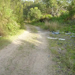 Trail to spit in Belmont Lagoon