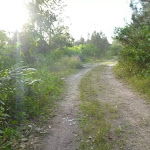 Trail on the spit in Belmont Lagoon