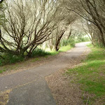 Foot path on the Owens Walkway near Cain St in Redhead