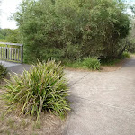 Track intersection at the Owens Walkway Wetland Viewpoint in Redhead