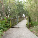 Timber platform over Owens Creek on the Owens Walkway in Redhead
