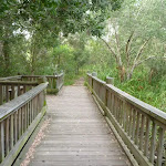 Timber bridge with seating over Owens Creek in Redhead