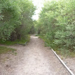 Track near the Owens Walkway in Redhead