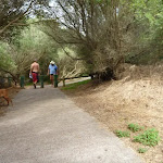 Foot path on the Owens Walkway in Redhead