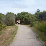 Foot path through coastal forest on the Owens Walkway