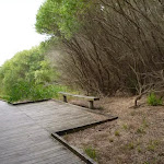 Timber boardwalk and seat on the Owens Walkway in Redhead