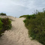 Sandy track going up towards Redhead beach