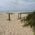 Timber posts with the Redhead Beach in the background