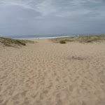 Sandy track down to the Redhead Beach