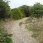 Sandy uphill track near the Owens Walkway