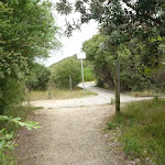 Intersection with the Owens Walkway in Redhead