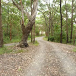 Awabakal car park near Dudley in the Awabakal Nature Reserve