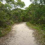 Sandy trail in the Awabakal Nature Reserve