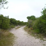 Sandy trail near the Awabakal Viewpoint in the Awabakal Nature Reserve
