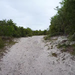 Sandy trail near the Awabakal Viewpoint