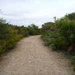 Wide trail towards the Awabakal Viewpoint