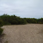 Wide trail near the Awabakal Viewpoint in the Awabakal Nature Reserve