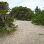 End of trail near the Awabakal Viewpoint