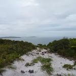 Sandy track with views in the background at Awabakal Viewpoint