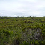 Views across the Awabakal Nature Reserve