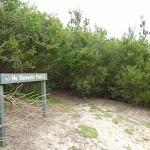 Sign and track into the Awabakal Nature Reserve