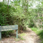 Well signposted section in Lane Cove NP