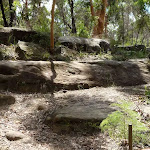 The rocky track on Lane Cove Valley