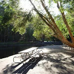 Picnic table by pond at Carnley Ave Reserve