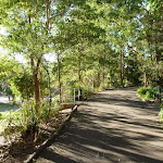 Level trail at Carnley Reserve in the Blackbutt Reserve