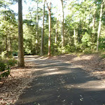 Sealed trail going downhill in the Blackbutt Reserve